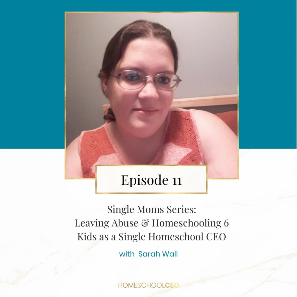 Episode 11 - Single Mom Series: Leaving Abuse and Homeschooling 6 Kids as a Single Homeschool CEO - with Sarah Wall